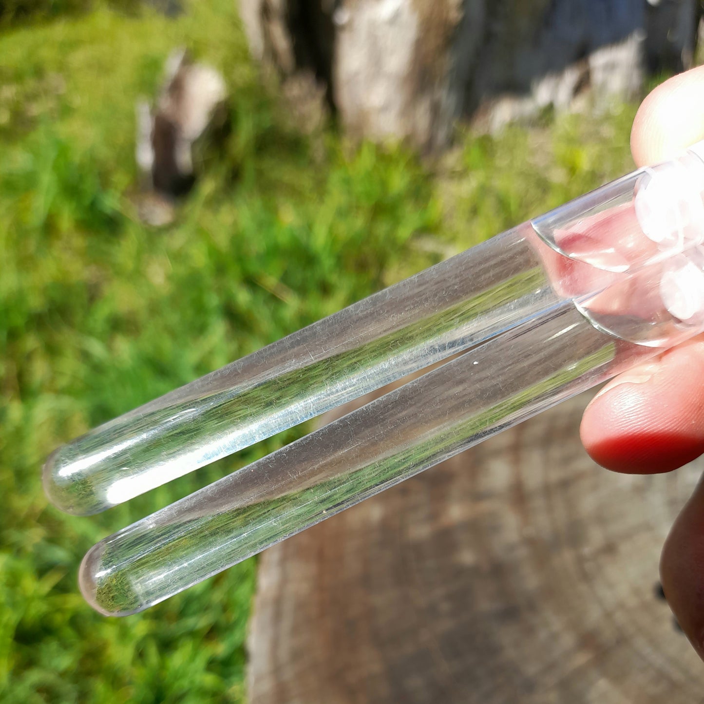 Vinegar Eels